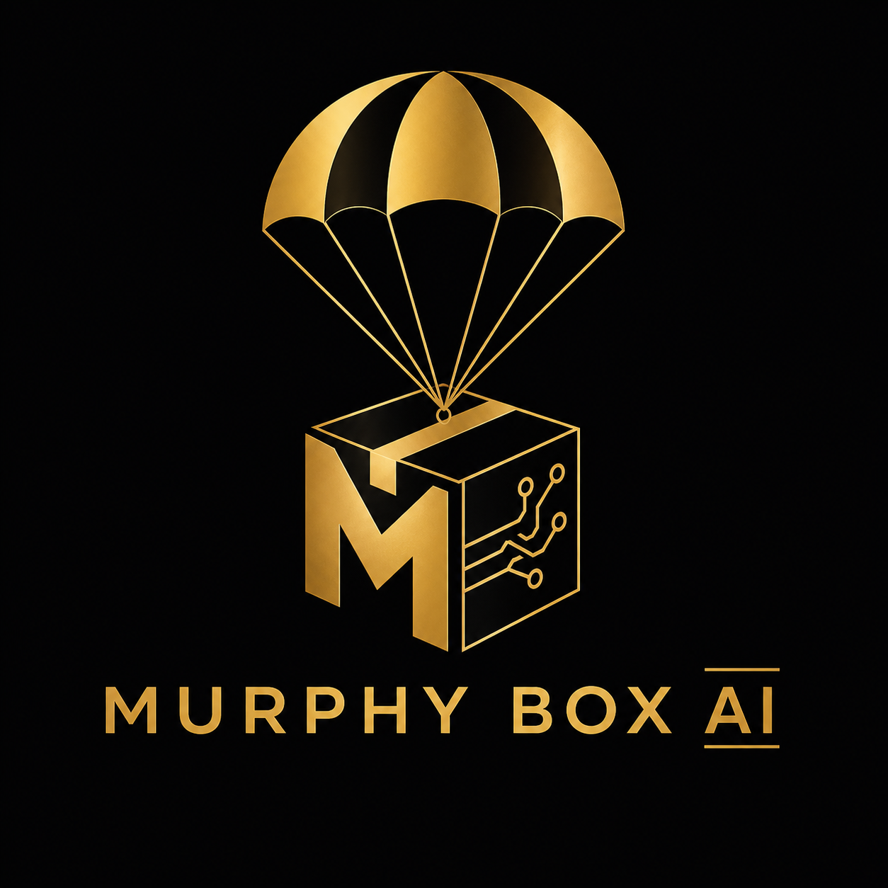 Murphy Box AI